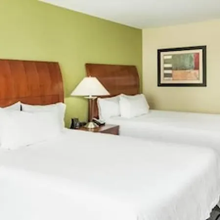 Hilton Garden Inn St. Louis Shiloh/O'Fallon Il Room photo